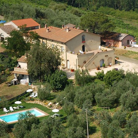 Agriturismo L'Olmo San Gimignano Kültér fotó