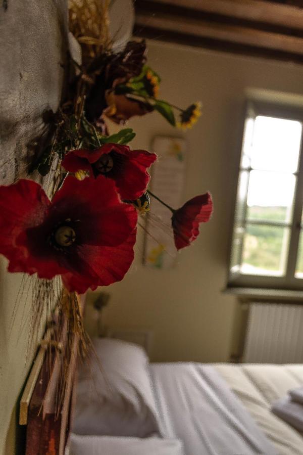 Agriturismo L'Olmo San Gimignano Kültér fotó