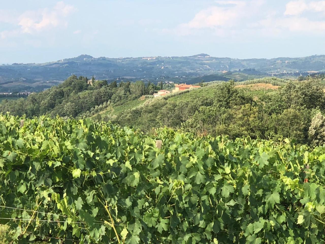Agriturismo L'Olmo San Gimignano Kültér fotó