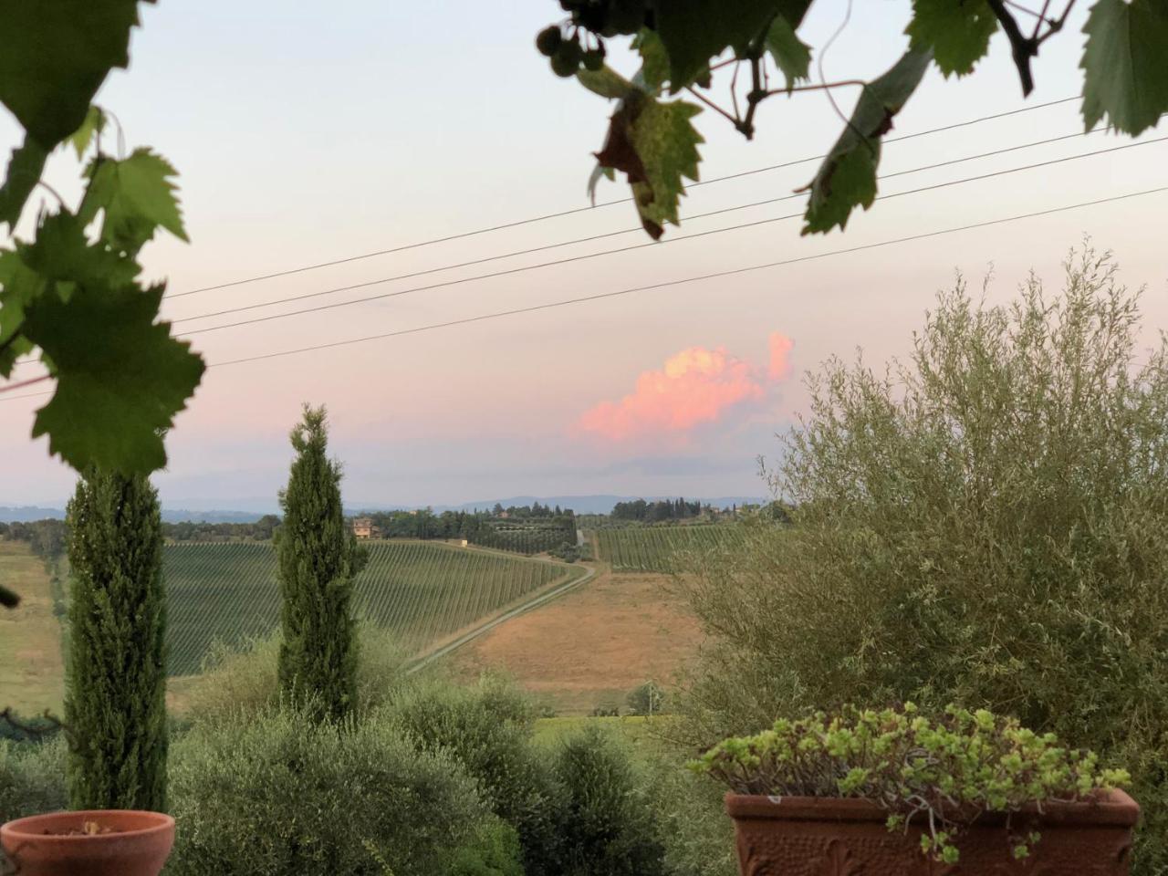 Agriturismo L'Olmo San Gimignano Kültér fotó