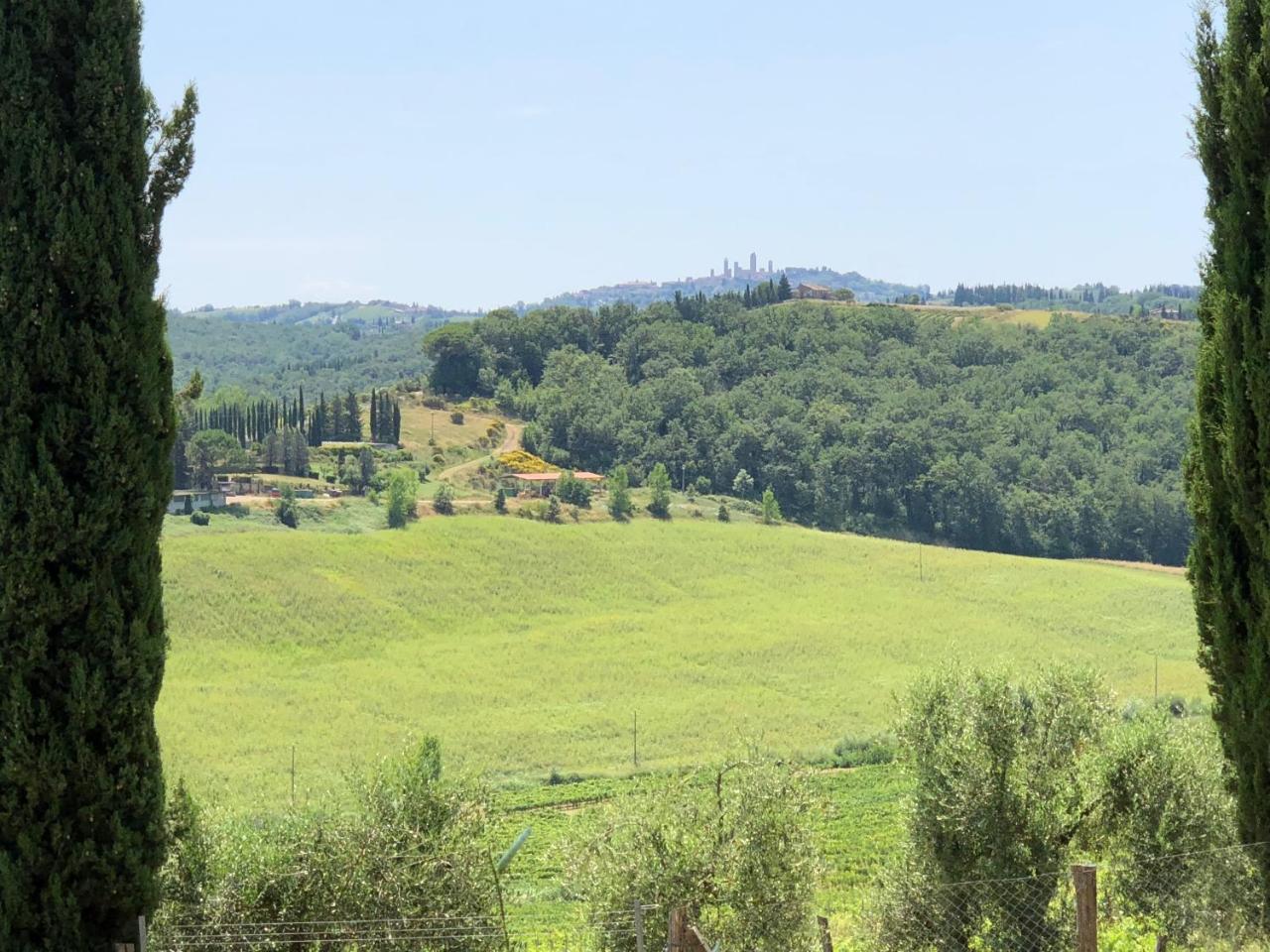 Agriturismo L'Olmo San Gimignano Kültér fotó
