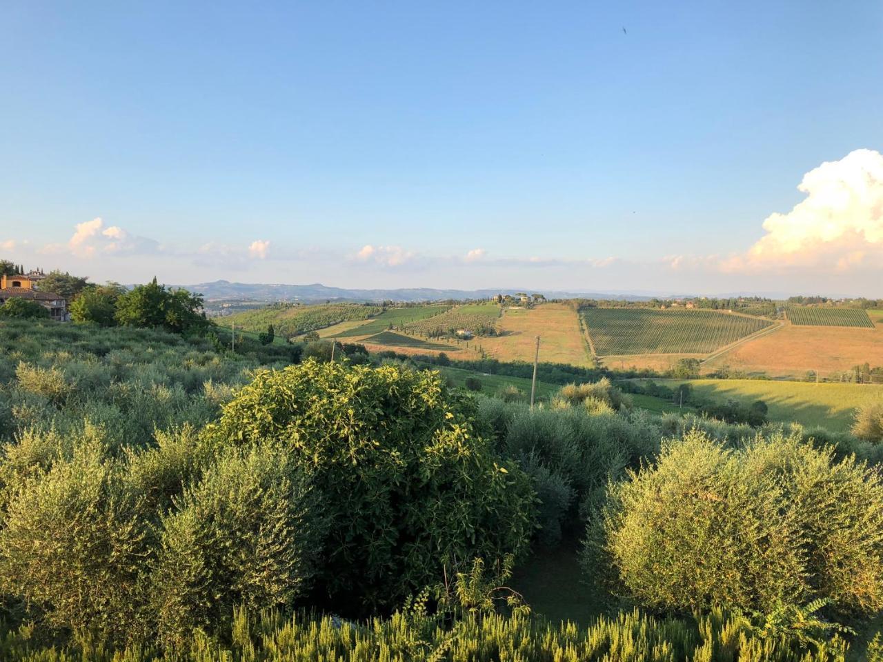 Agriturismo L'Olmo San Gimignano Kültér fotó